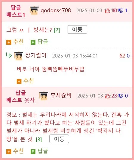 새(bird)에 대한 재미있는 사실들._2.webp