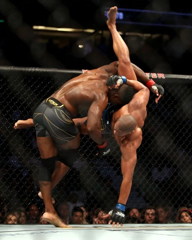 논문) 서아프리카계 흑인들이 피지컬이 개쩌는 이유_2.webp