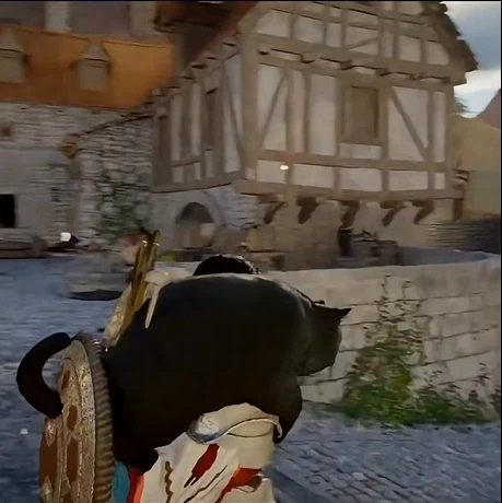 붉은사막 검은 뚠냥이..._1.webp