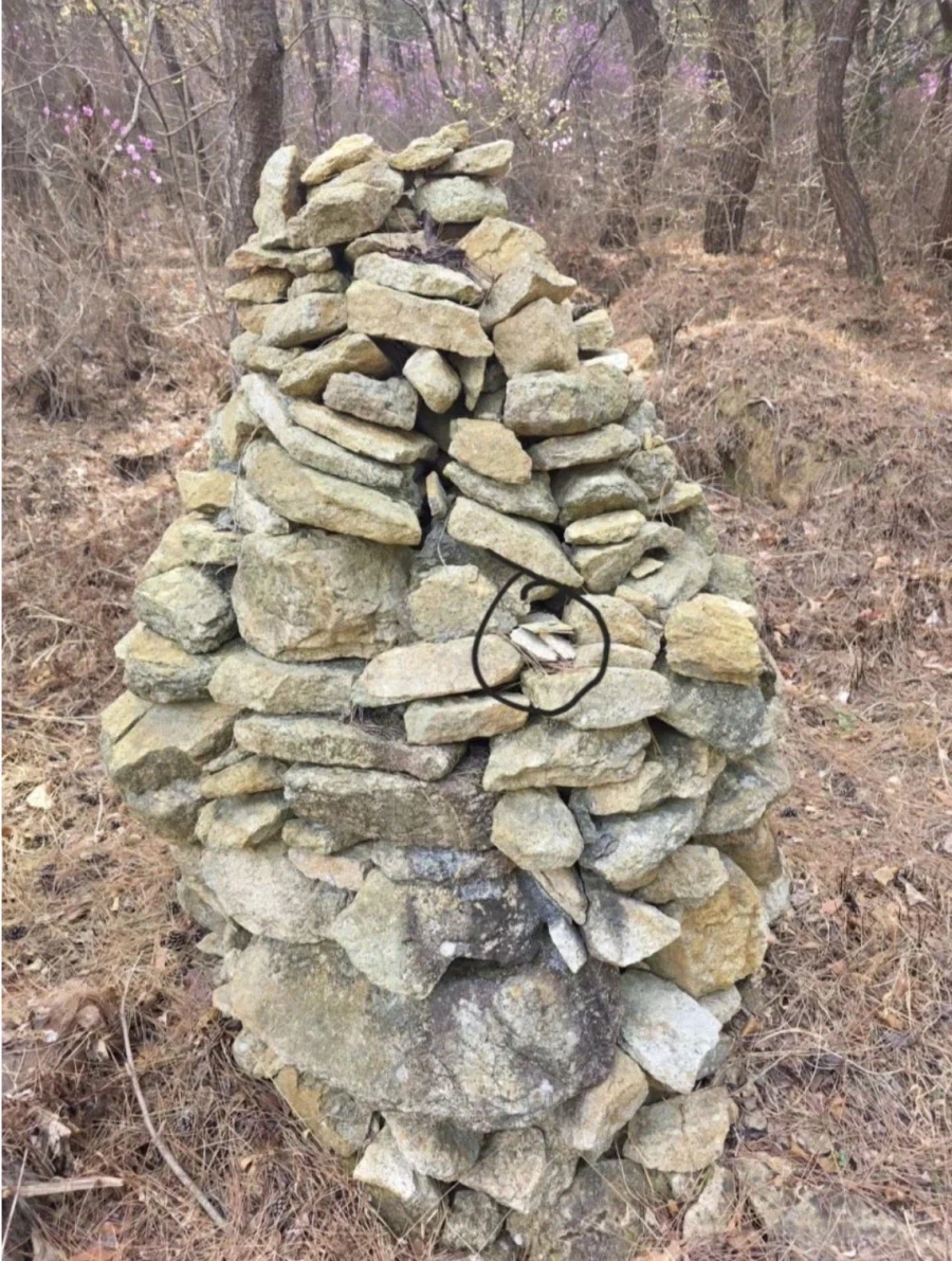 ???:산에서 돈주웠다 ㅎㅎ.jpg_2.webp