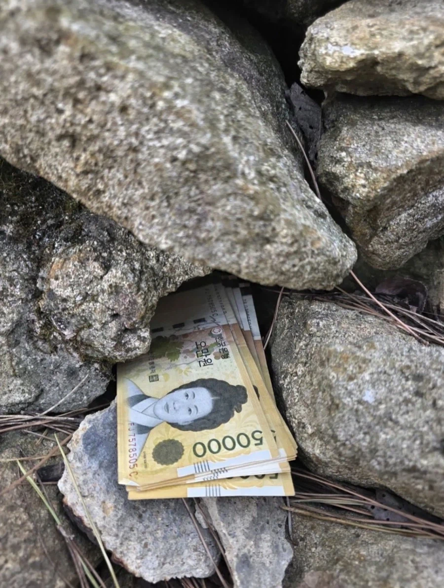 ???:산에서 돈주웠다 ㅎㅎ.jpg_3.webp