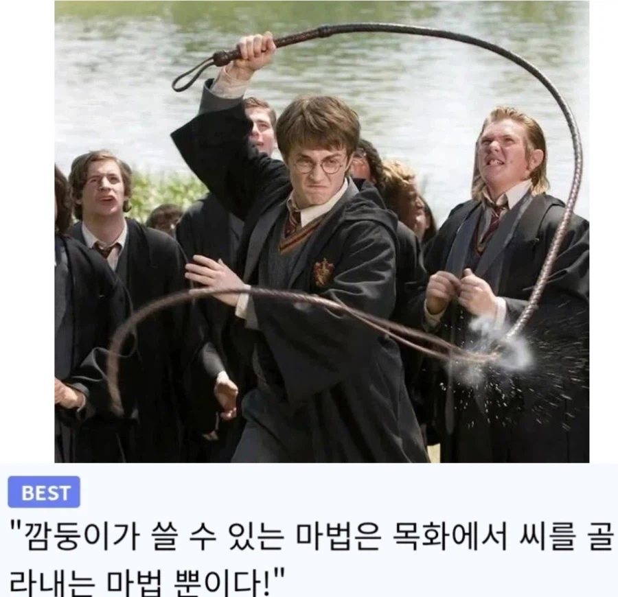 해리포터 드라마판 기대되는 명장면_1.webp