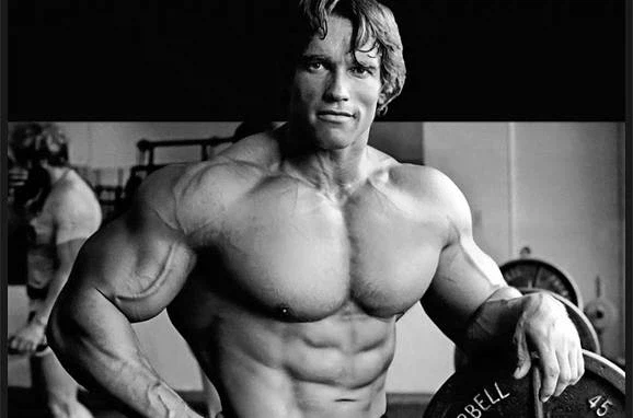 호불호 갈리는 가슴.jpg_3.webp