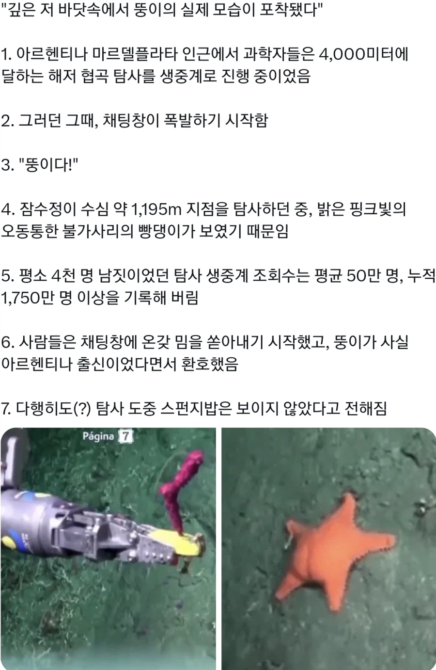 해저 탐사를 하다가 뚱이를 발견한 연구진들_1.webp