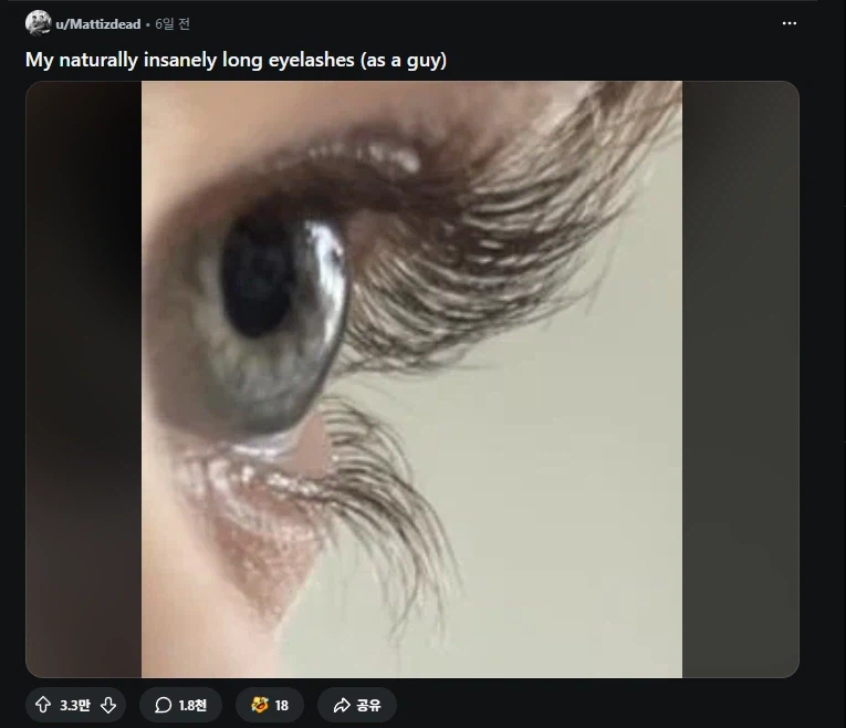 레딧) 서양에서 속눈썹 길다고 좋아요 3만3천개 받은 사람_1.webp