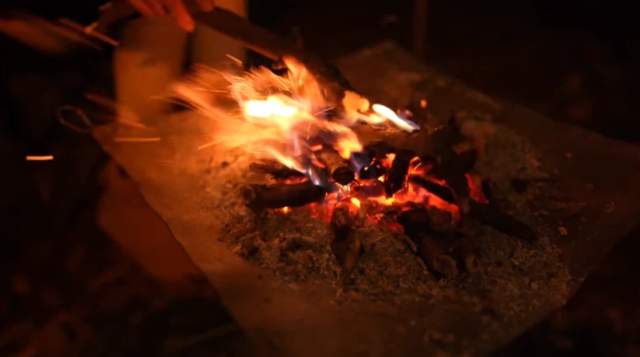 캠핑 하러 갈 땐 반드시 고양이를 데려가야 하는 이유_8.webp