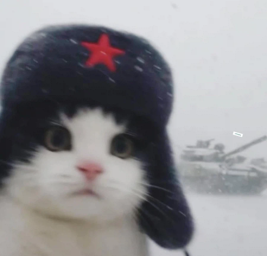 스탈린그라드에서 독일에 맞서 싸우는 쏘련냥_2.webp