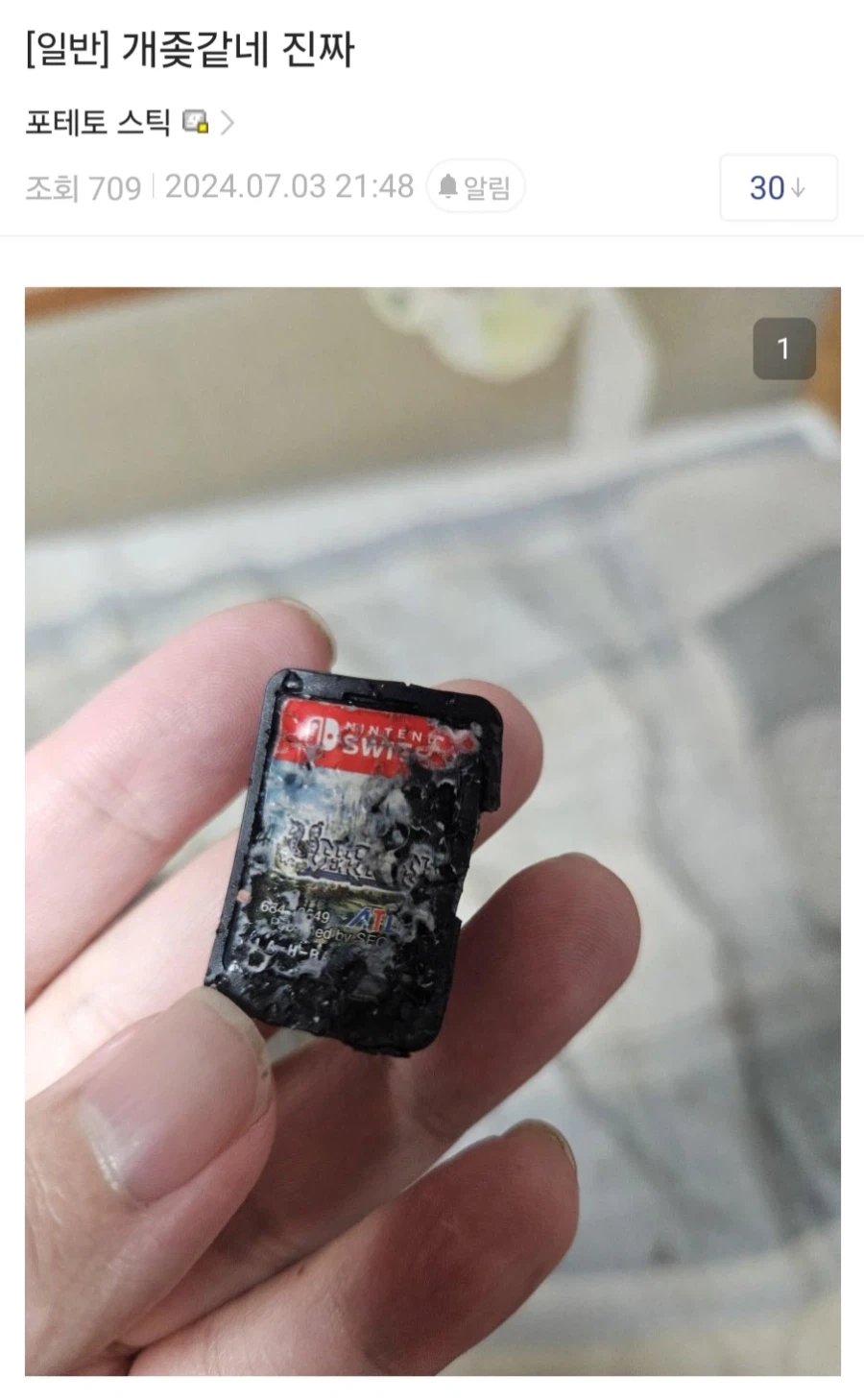 닌텐도 게임팩은 애들이 못먹도록 쓴맛이 나게 했습니다_3.webp