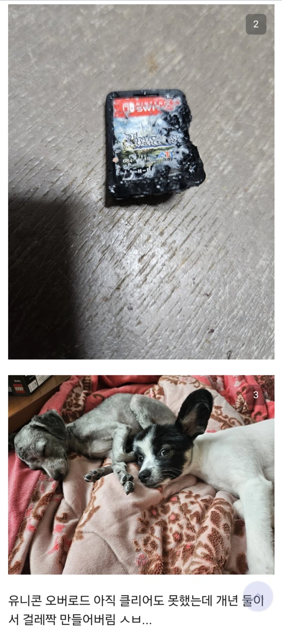 닌텐도 게임팩은 애들이 못먹도록 쓴맛이 나게 했습니다_4.webp