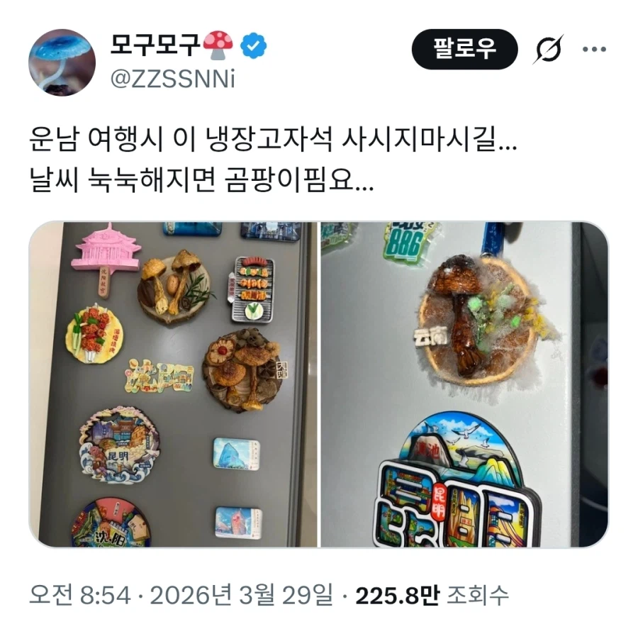 운남 여행시 이 냉장고자석 사시지마시길…_1.webp