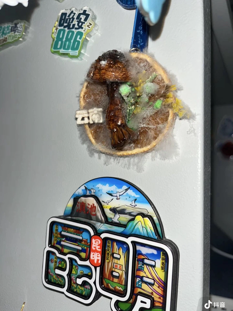 운남 여행시 이 냉장고자석 사시지마시길…_3.webp