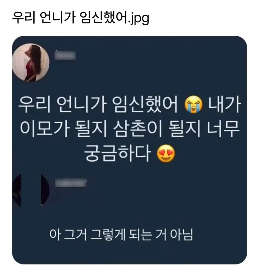 우리 언니가 임신했어!_1.webp