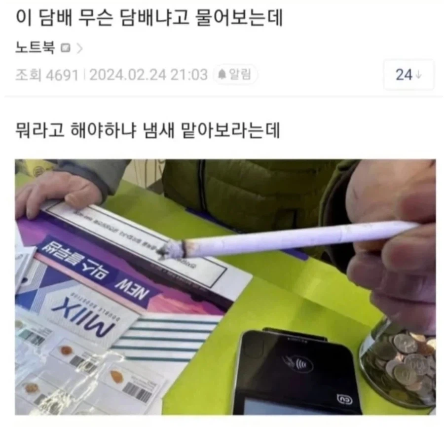 편의점에 나타난 스핑크스.jpg_1.webp