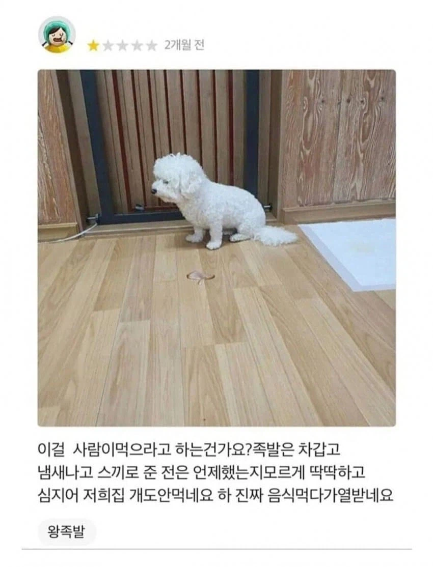 개도 안먹는 리뷰_1.webp