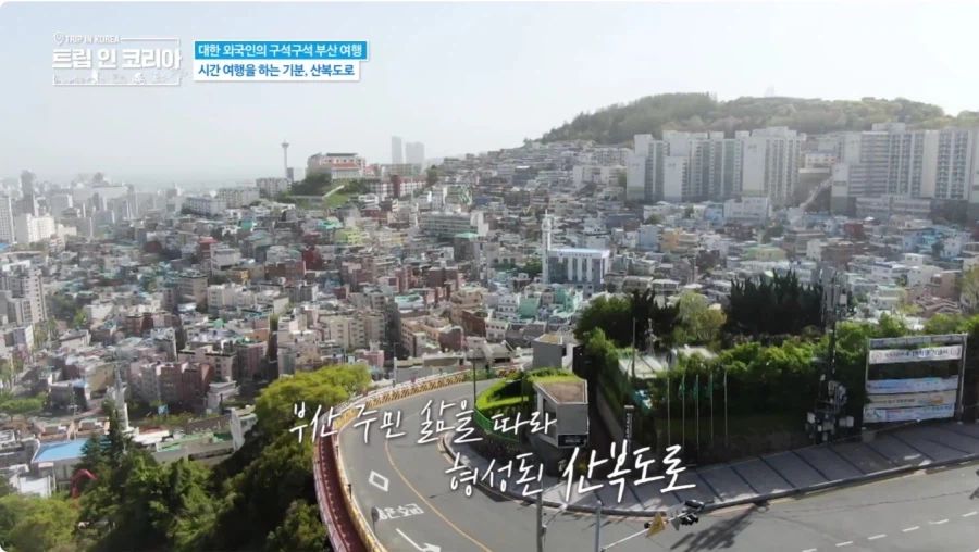 부산 버스 여행 하는 수잔_2.webp