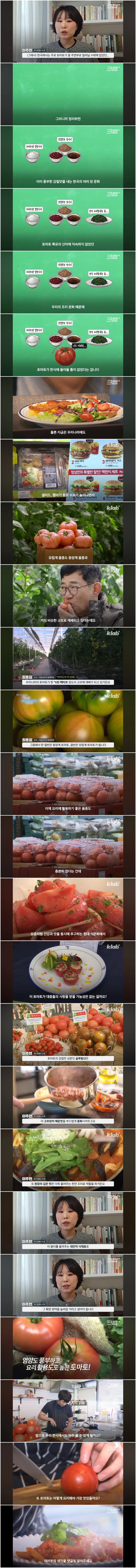 토마토가 한식에 안 어울리는 이유.jpg_1.webp