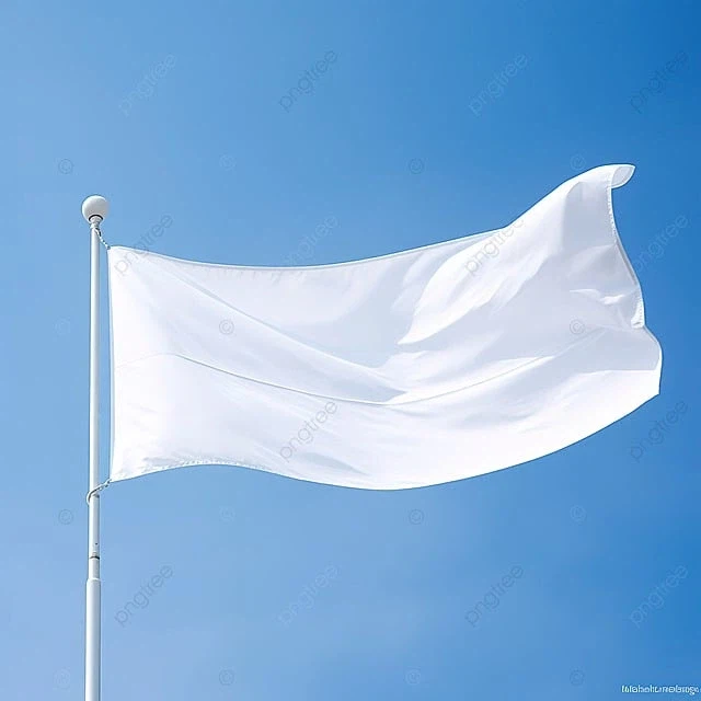 공진때문에 무너졌다고 잘못 알려진 타코마 다리 사건_2.webp