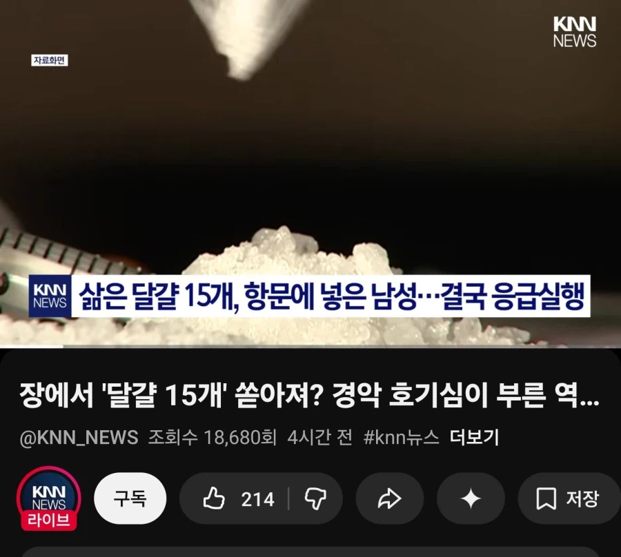 포포포퐁 퐁(15개)_1.webp