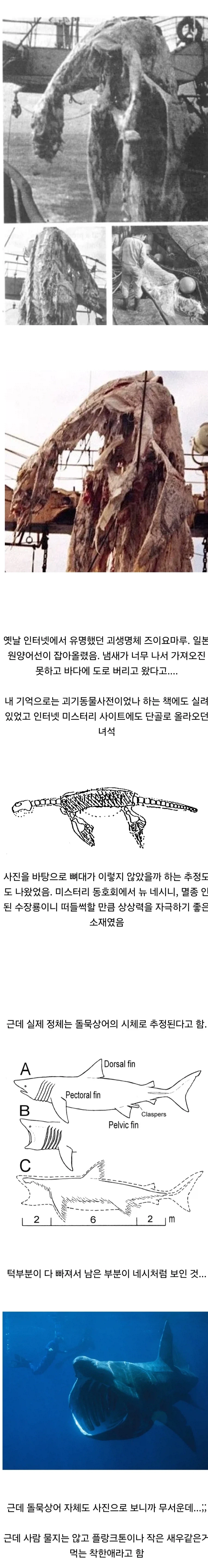 괴생명체 즈이요마루의 실체 (약혐?)_1.webp