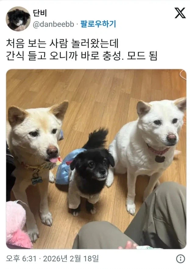 강아지들이 낯선 사람에게 짖지 않는 이유_1.webp