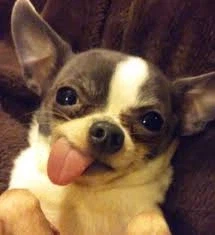 여직원이 남직원에게 오타를 보낸 소름끼치는 이유_1.webp