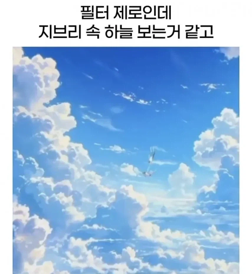 한국인들이 일본 여행 가면 걸려오는 신기한 병_1.webp