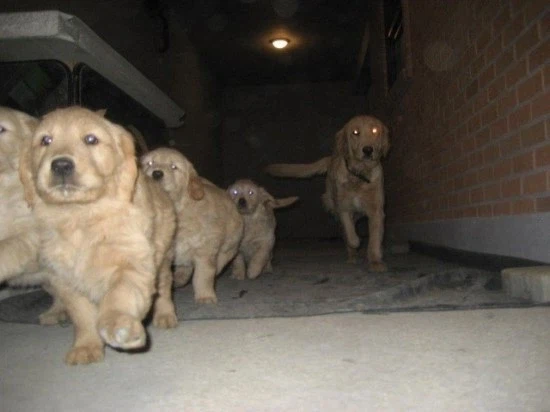 ???: 왼발, 왼발, 왼발, 왼발_1.webp