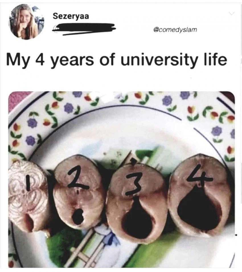 4년간의 대학 나의 생활_1.webp