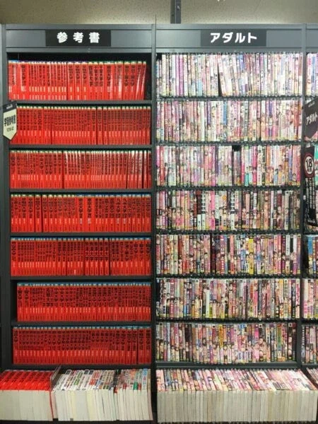 대학 참고서 vs 야한 책들_1.webp