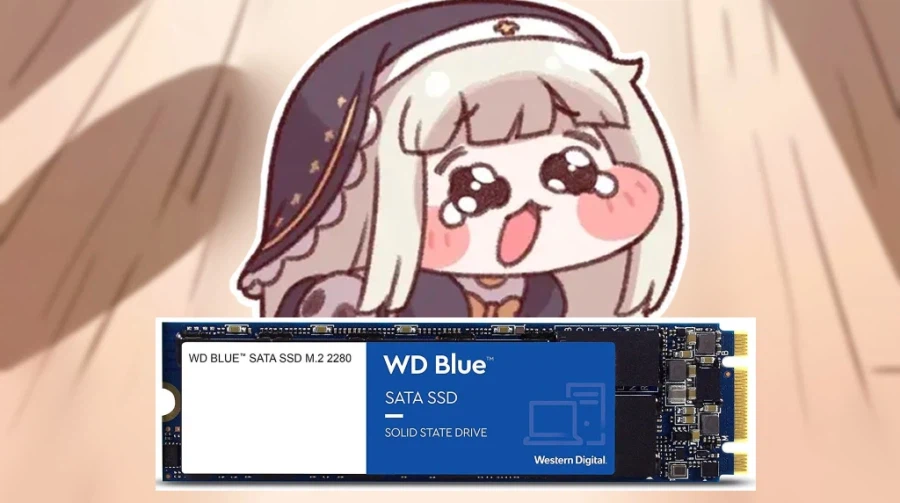 이게 그 유행하는 도로롱의 그래픽카드 맞지?_1.webp