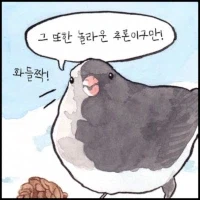 고대인들이 지구가 둥근 걸 알아낸 방법_2.webp