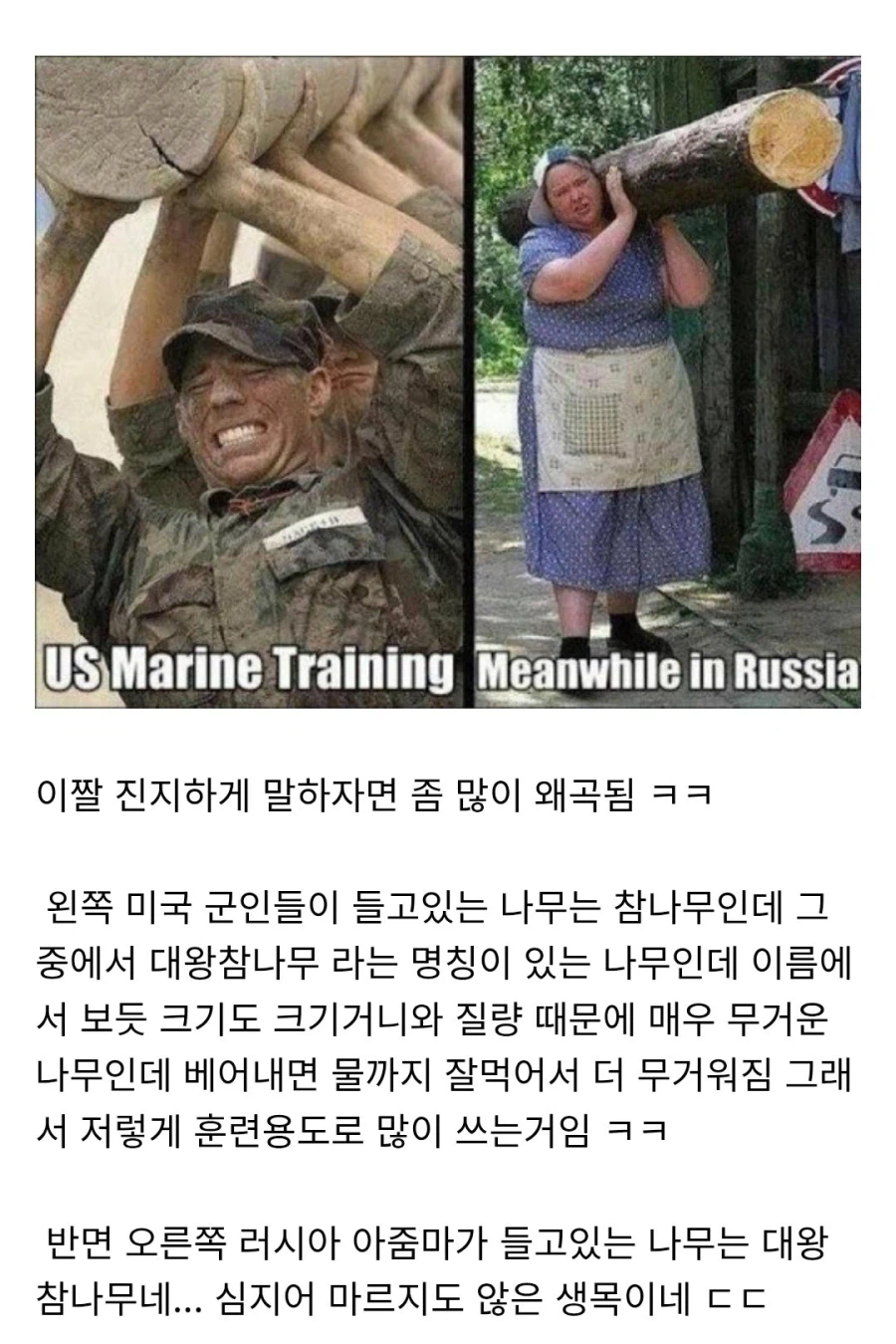 진지하게 많이 왜곡된 짤_1.webp