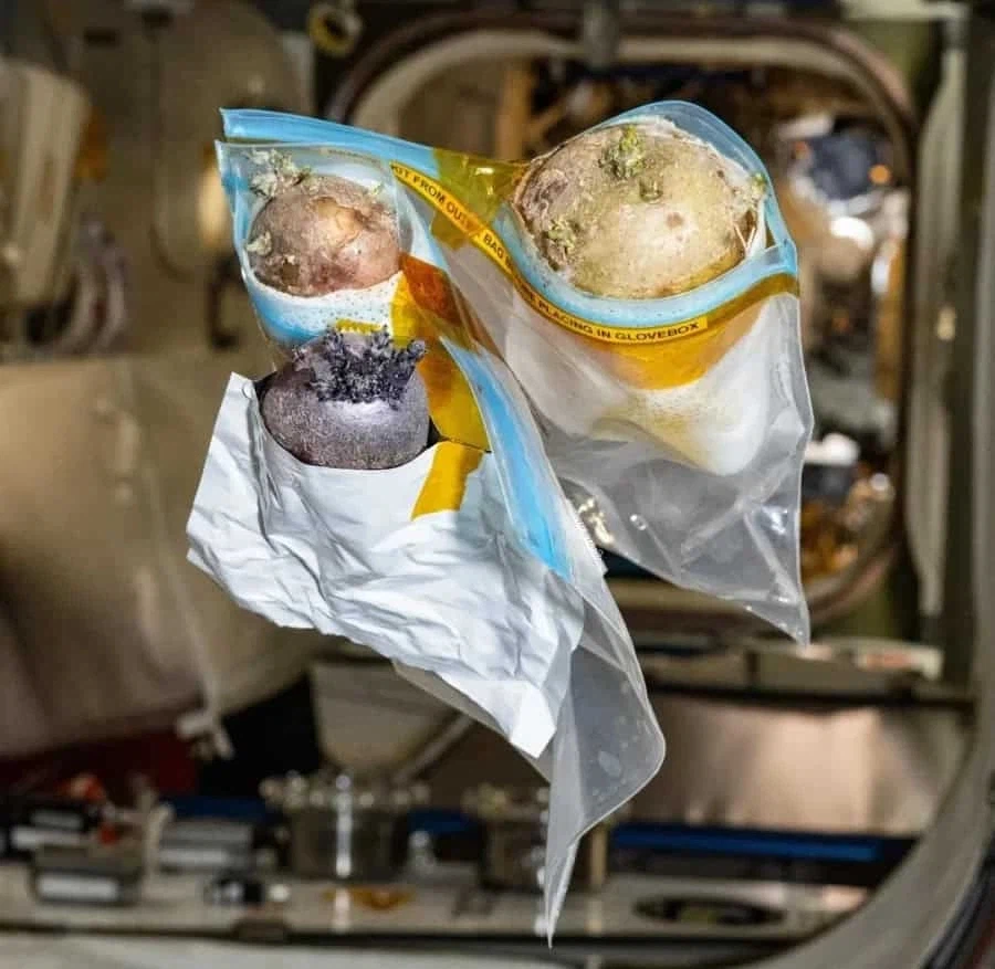 국제 우주 정거장 내에 존재하는 괴 물체_2.webp