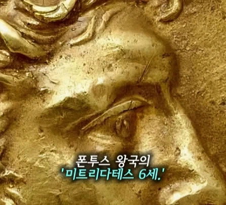 매일 독을 마신 왕.jpg_2.webp