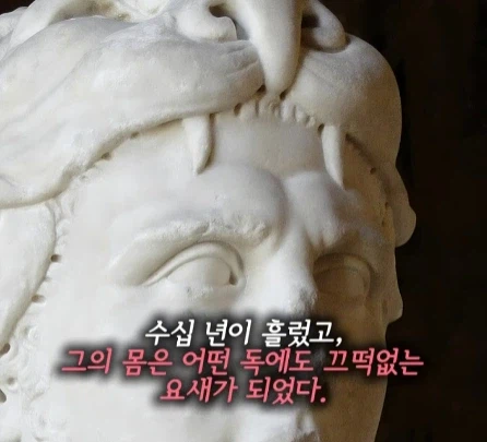 매일 독을 마신 왕.jpg_10.webp