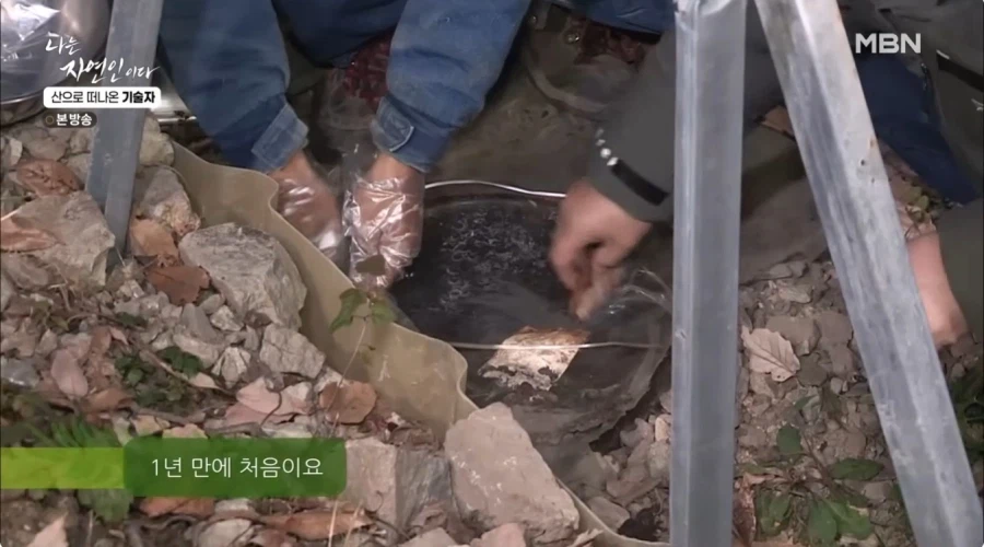 1년간 묵혀놨던 김치를 꺼내보는 자연인 .jpg_2.webp