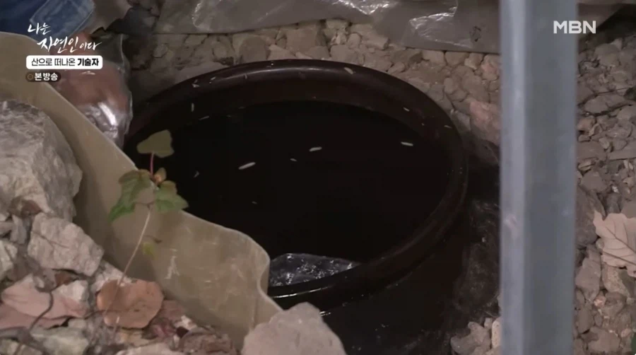 1년간 묵혀놨던 김치를 꺼내보는 자연인 .jpg_3.webp