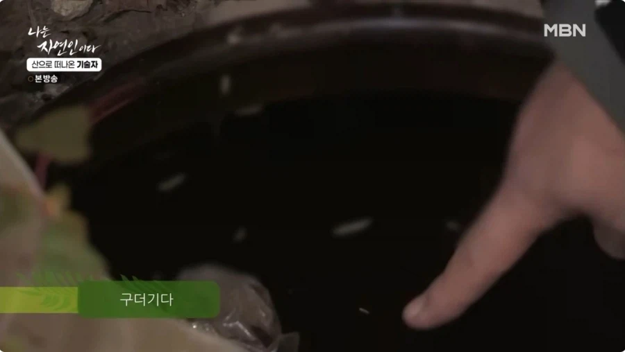 1년간 묵혀놨던 김치를 꺼내보는 자연인 .jpg_8.webp