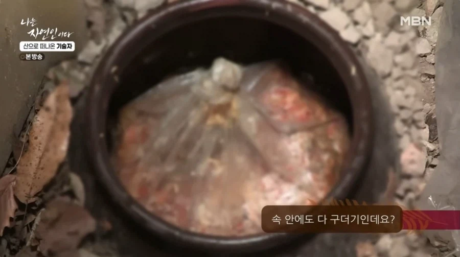 1년간 묵혀놨던 김치를 꺼내보는 자연인 .jpg_9.webp