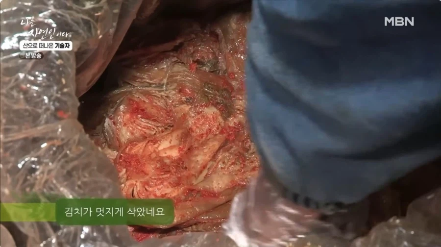 1년간 묵혀놨던 김치를 꺼내보는 자연인 .jpg_20.webp