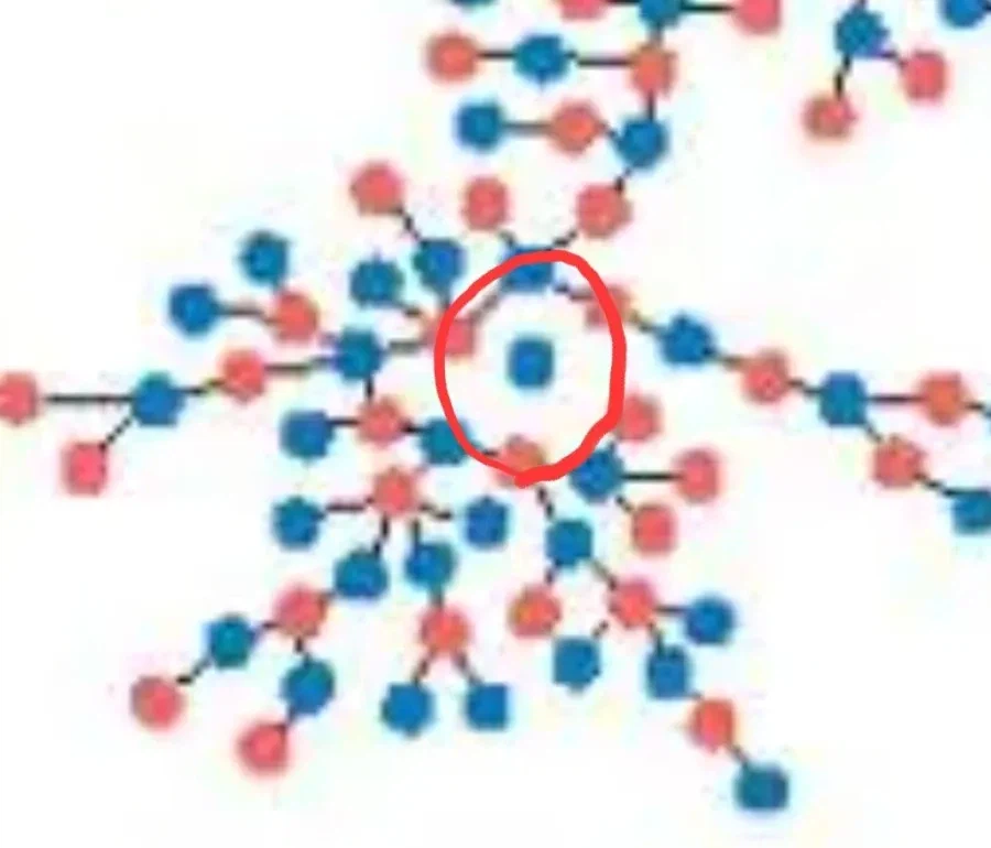 미국 한 고등학교에서 조사된 성관계 분포도_2.webp