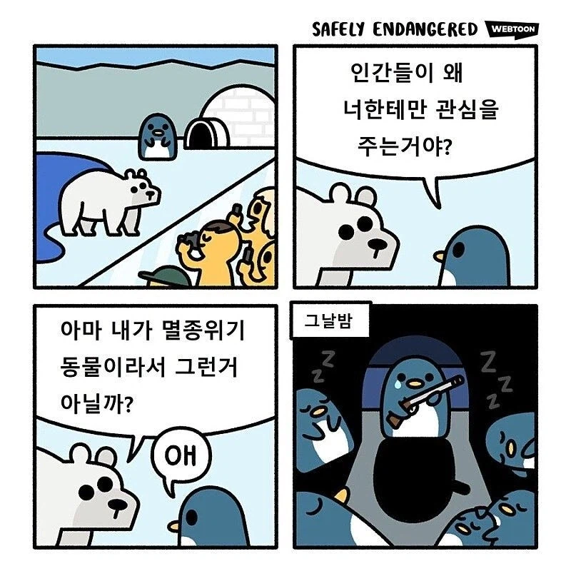 북극곰이 인기 많은 이유가 궁금한 팽귄_1.webp
