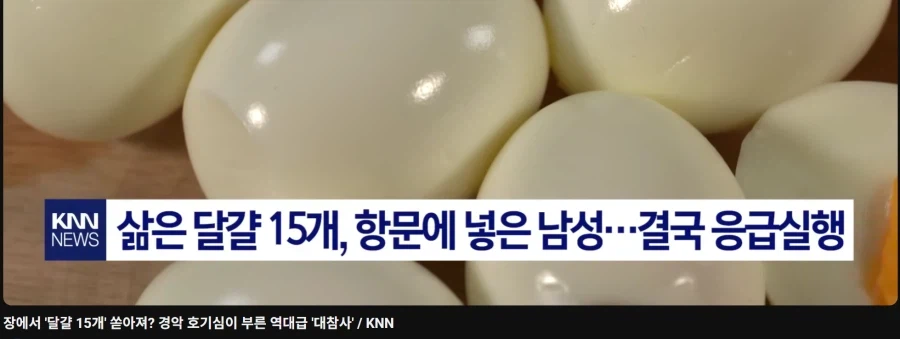 계란 vs 몬스터볼_1.webp