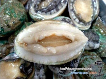 바퀴벌레 먹어본 디시인.jpg_1.webp