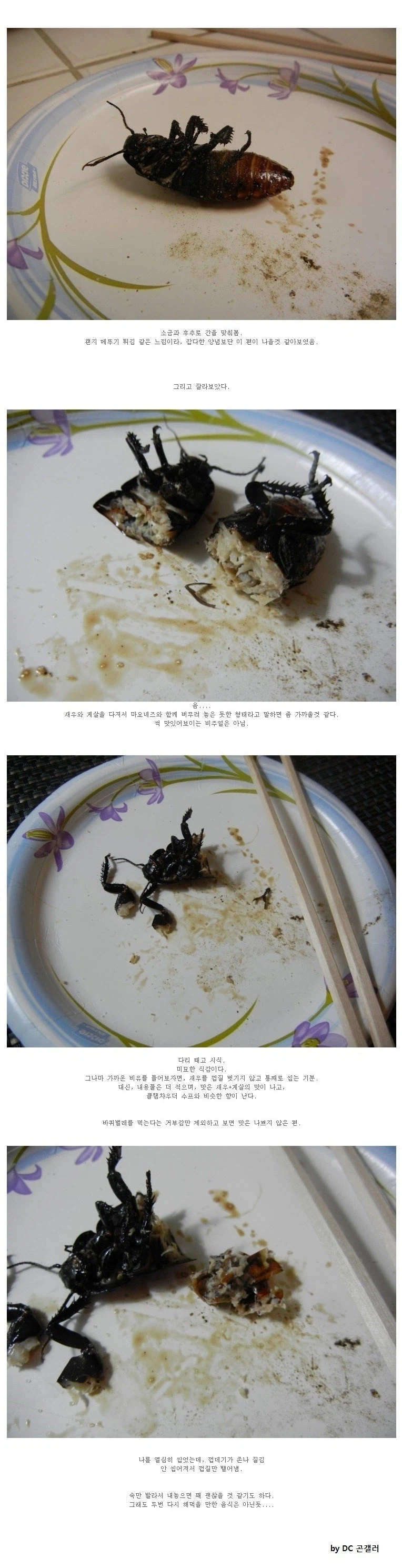 바퀴벌레 먹어본 디시인.jpg_2.webp