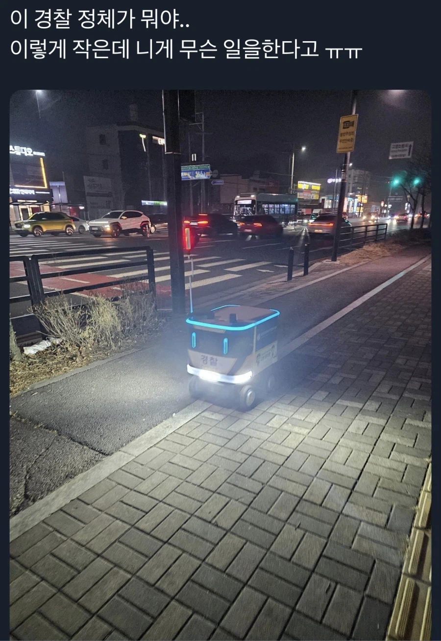 이 경찰 정체가 뭐야….jpg_1.webp