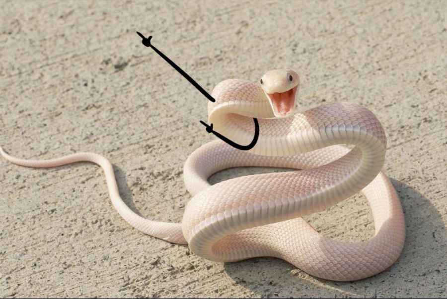 뱀 사진에 낙서_3.jpg