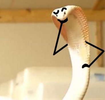 뱀 사진에 낙서_4.jpg