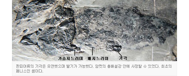 모든 자1지의 조상_2.png