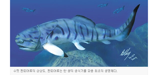 모든 자1지의 조상_1.png